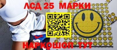 индика Аргун