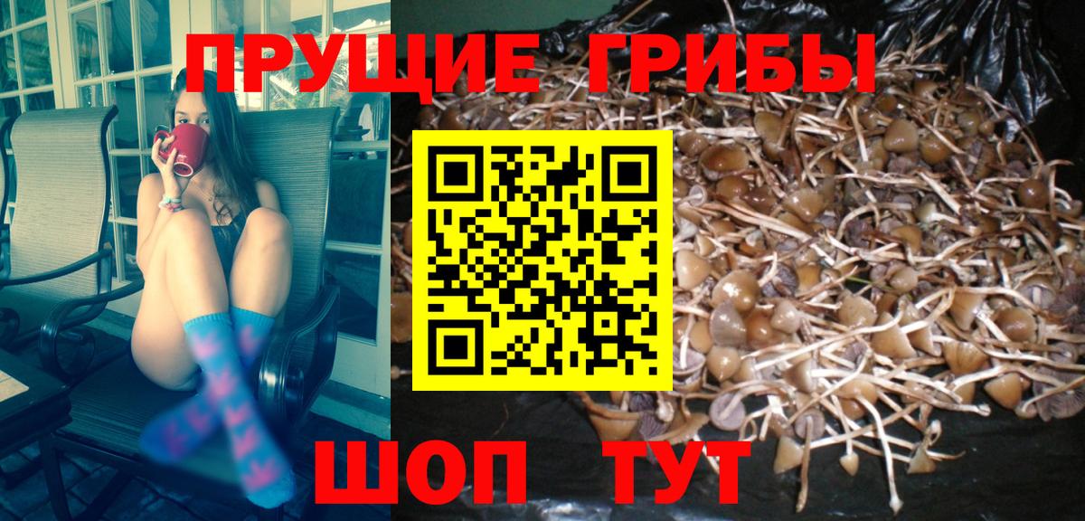 Большой Камень  Галлюциногенные грибы ЛСД  купить наркотики сайты  Вход с VPN 