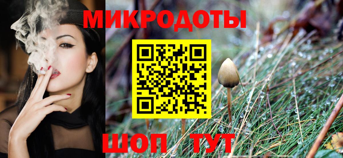 Галлюциногенные грибы мухоморы Большой Камень